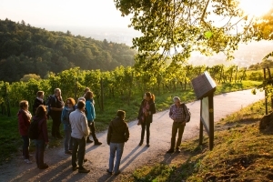 Sektprobe für Jedermann – Eine Wanderung an der „Strata Montana“