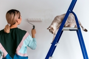 Raus aus der Grauzone - Der Heimwerker-Kurs Farbe, Malern wie der Meister