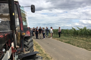 Krimi trifft Planwagen - Die spannende Krimi-Erlebnisfahrt durch die Weinberge inkl. Verköstigung